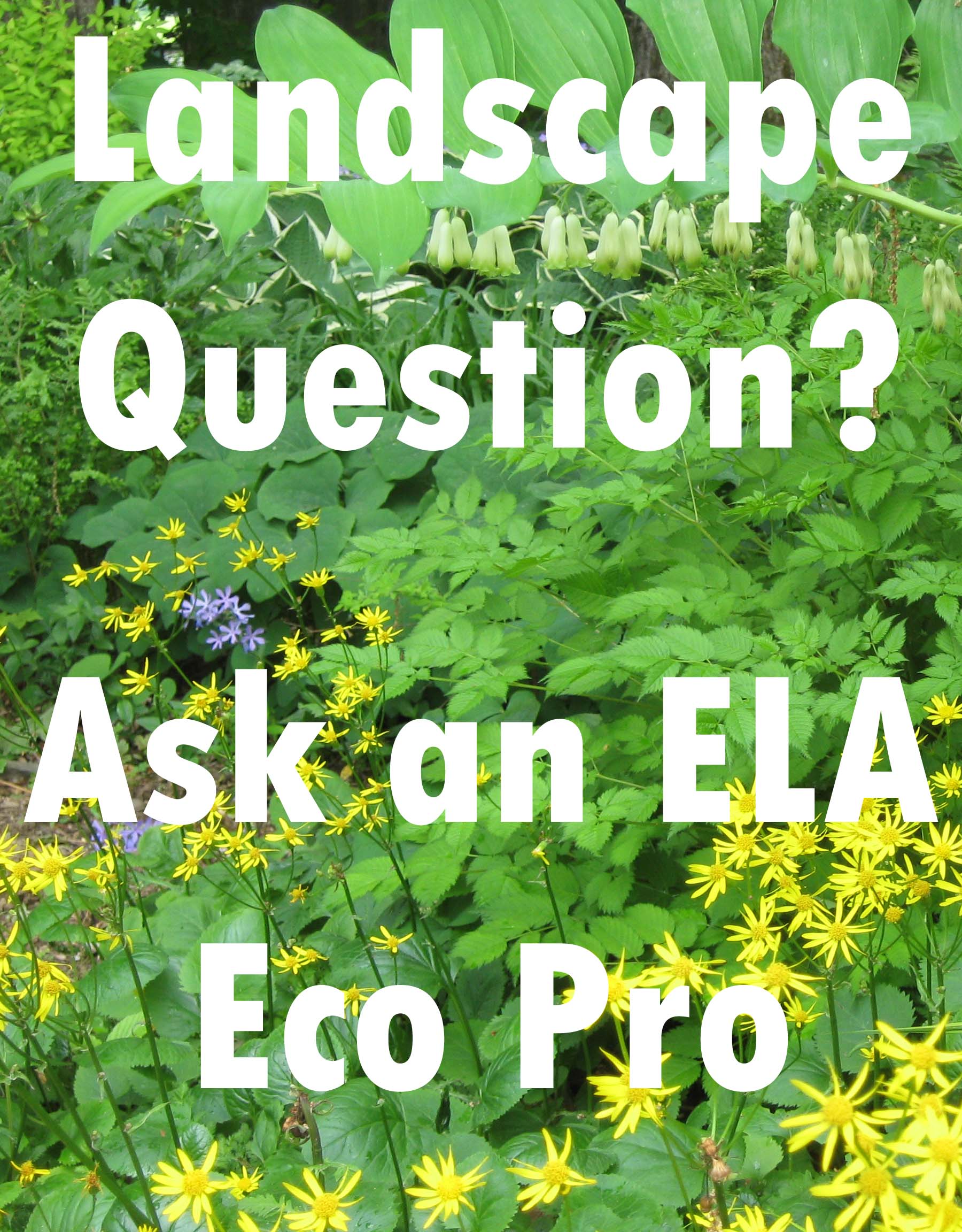 Ask an Eco Pro!