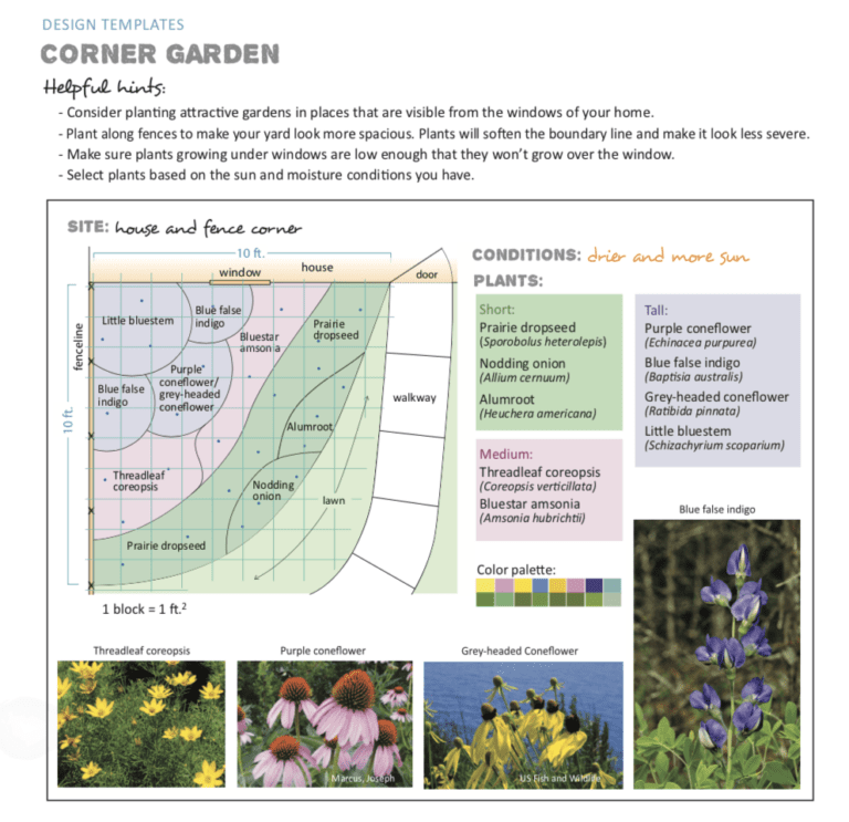 native plants garden planner