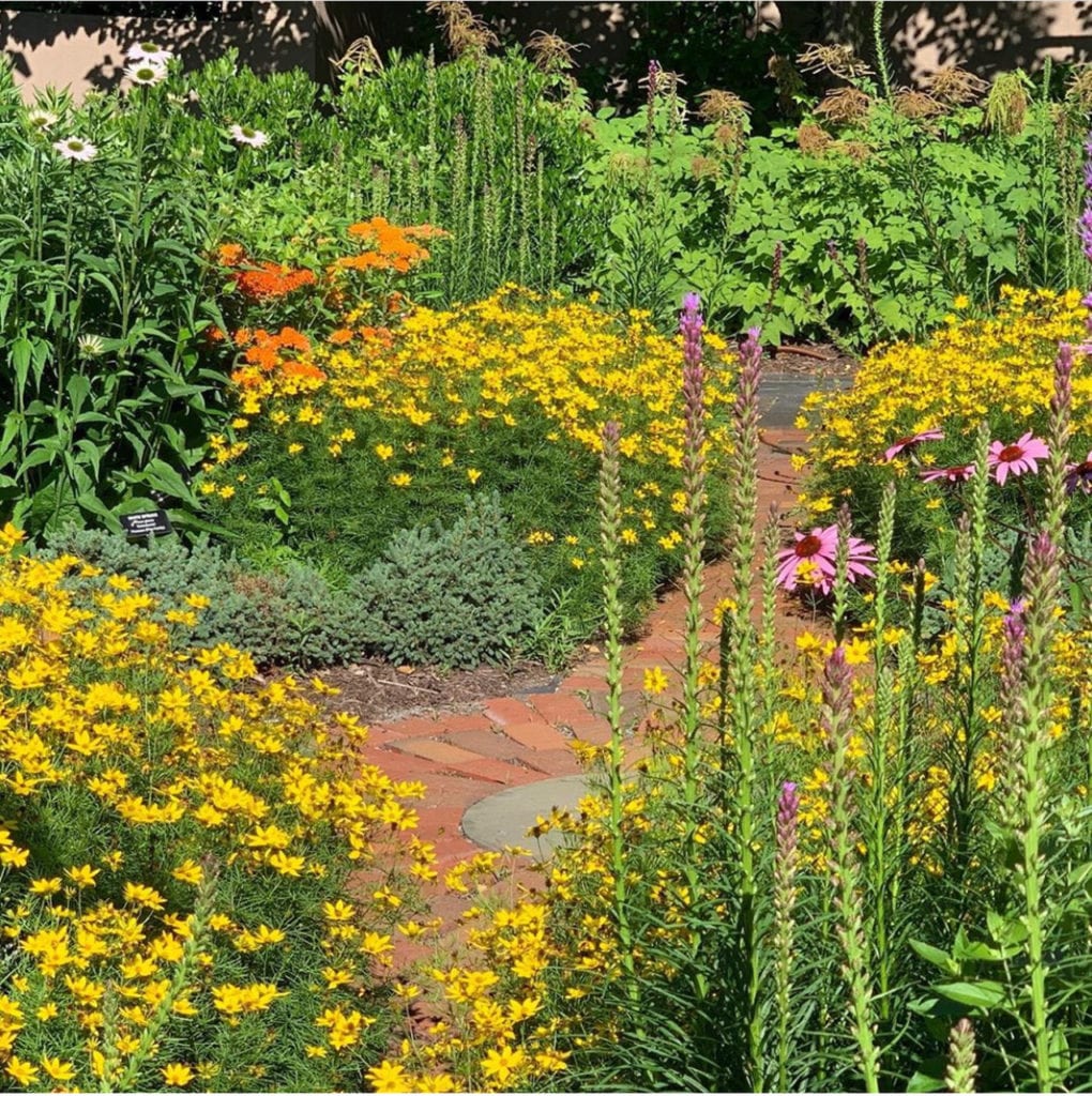 Spring 2024 Specials For Native Plants Image to u