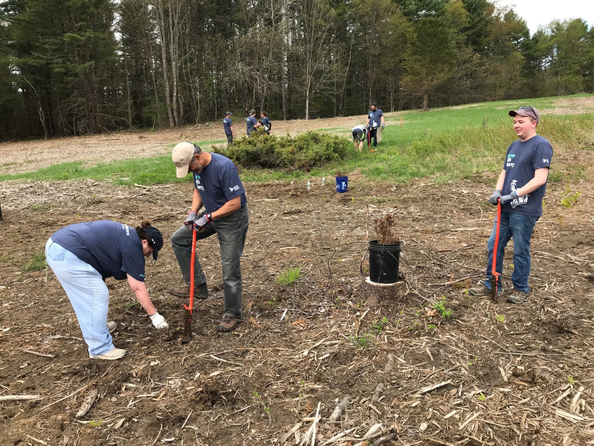 Reducing Invasive Plants and Recovering a Healthy Plant Community ...