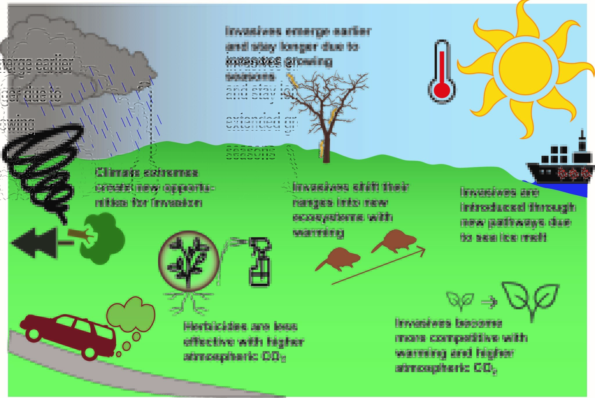 Climate Change And Invasive Species Ecological Landscape Alliance