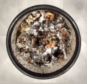 Compost Bokashi de cuisine — Low-tech Lab