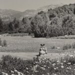 SBBG in 1926