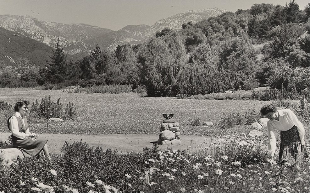 You are currently viewing Santa Barbara Botanic Garden Celebrates 100 years!
