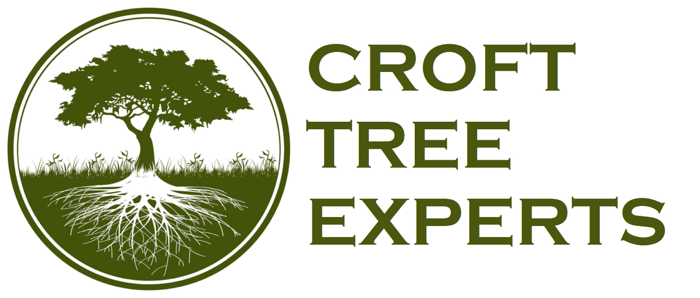 croft tree experts