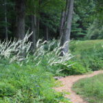 Spirituality and Landscape Design