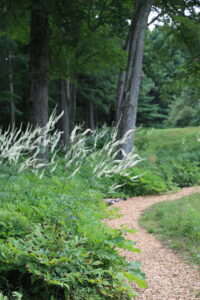 Read more about the article Spirituality and Landscape Design