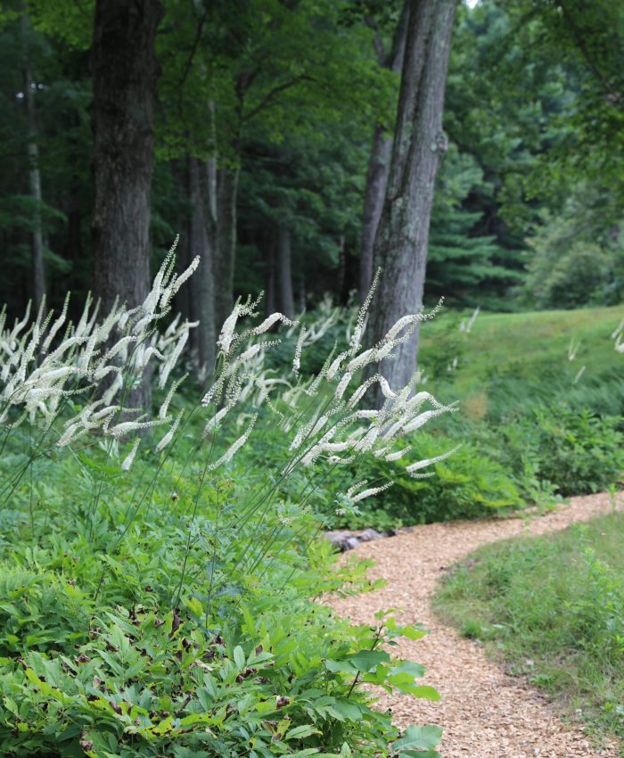 Spirituality and Landscape Design