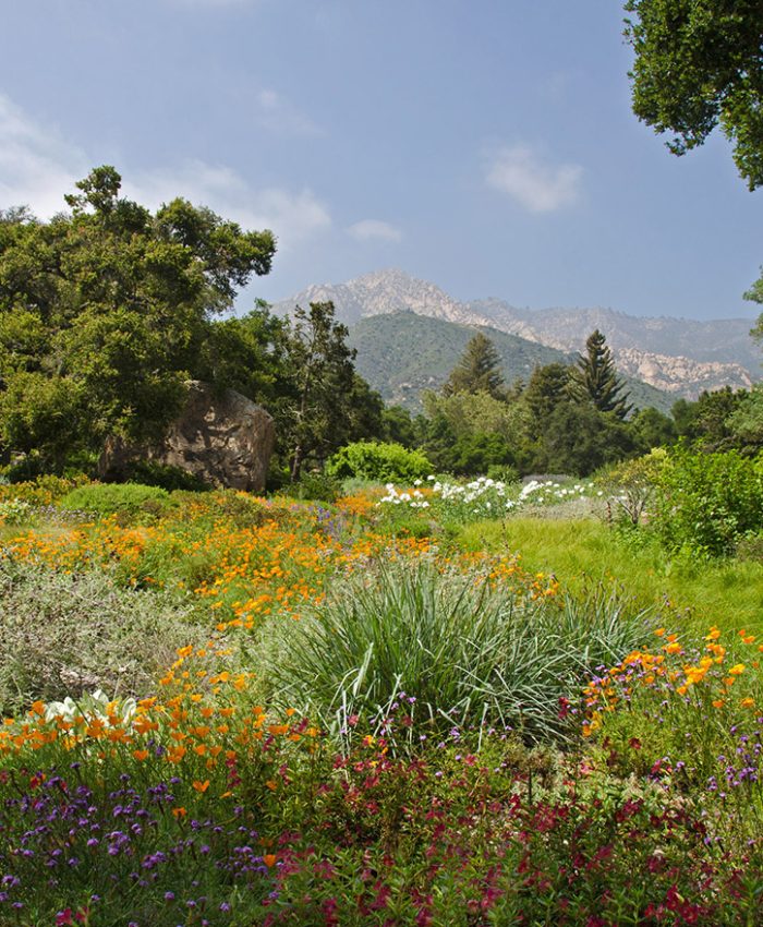 Santa Barbara Botanic Garden