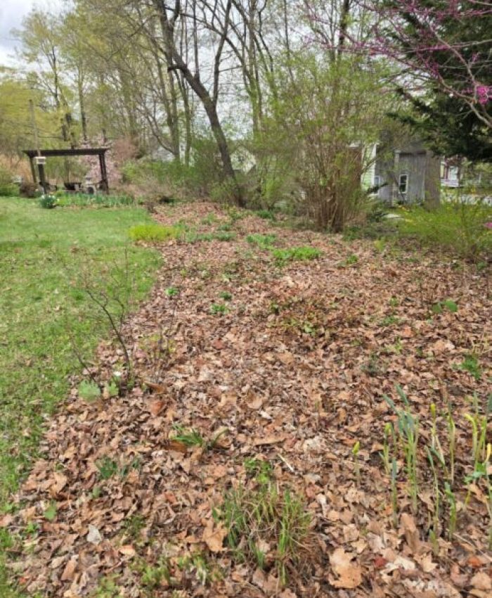 Gardening Tips: Spring Clean-up